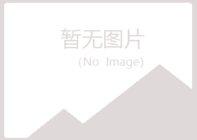 连山区女孩采矿有限公司